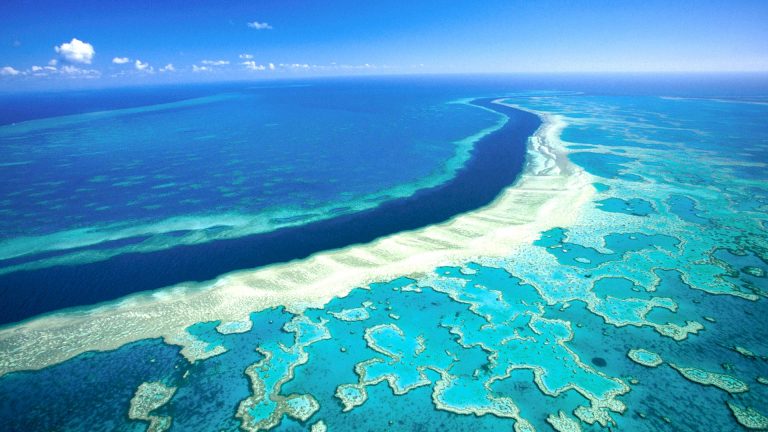 Où admirer les plus belles barrières de corail ?
